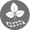 Soja